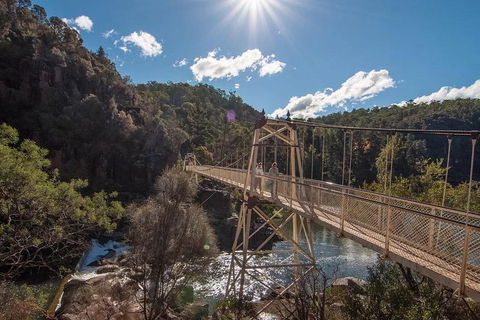 Launceston Private Charter Service - Accommodation Cairns 5