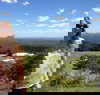 3 nights 2 full days private guided tour of the Sunshine Coast and Hinterland - Accommodation Cairns