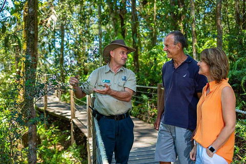 Kuranda Scenic Railway Day Trip From Cairns - Accommodation Cairns 1
