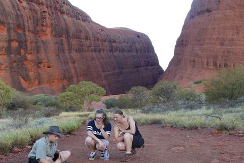 5-Hour Kata Tjuta Sunrise Tour From Ayers Rock With Breakfast - Accommodation Cairns 0