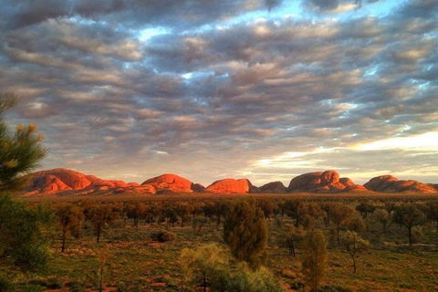 5-Hour Kata Tjuta Sunrise Tour From Ayers Rock With Breakfast - Accommodation Cairns 1