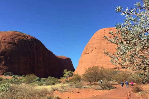 5-Hour Kata Tjuta Sunrise Tour From Ayers Rock With Breakfast - Accommodation Cairns 4