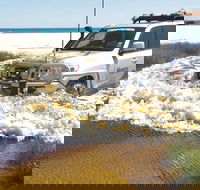 Full-Day Moreton Island 4x4 Sightseeing Tour - Accommodation Cairns
