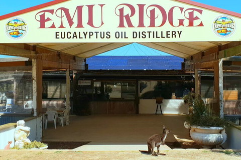 2-Day Kangaroo Island Safari From Adelaide - Accommodation Cairns 4