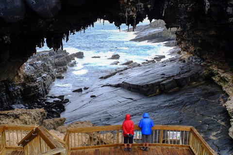 2-Day Kangaroo Island Safari From Adelaide - Accommodation Cairns 5