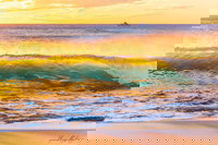 Book Viator Accommodation Vacations Accommodation Cairns Accommodation Cairns