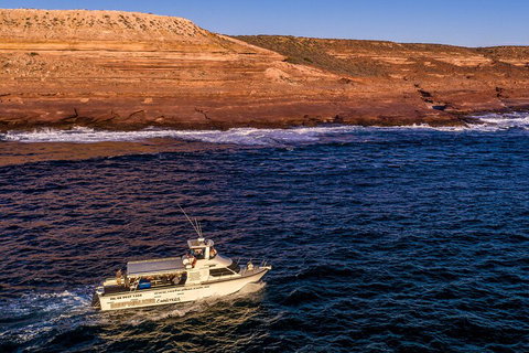 Kalbarri Sunset Coastal Cliff Cruise - Accommodation Cairns 4