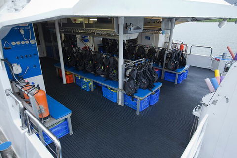 Silverswift Outer Great Barrier Reef Dive And Snorkel Cruise From Cairns - Accommodation Cairns 0
