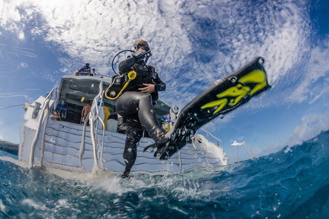 Silverswift Outer Great Barrier Reef Dive And Snorkel Cruise From Cairns - Accommodation Cairns 1