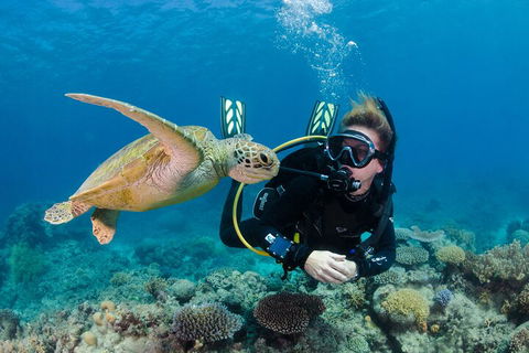 Silverswift Outer Great Barrier Reef Dive And Snorkel Cruise From Cairns - Accommodation Cairns 2