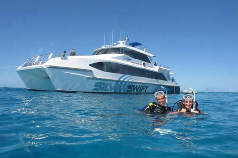 Silverswift Outer Great Barrier Reef Dive And Snorkel Cruise From Cairns - Accommodation Cairns 4