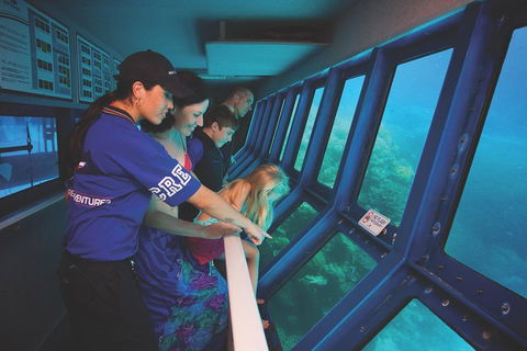 Great Barrier Reef Adventure From Cairns - Accommodation Cairns 0