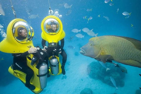 Great Barrier Reef Adventure From Cairns - Accommodation Cairns 2