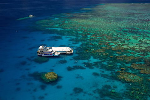 Great Barrier Reef Adventure From Cairns - Accommodation Cairns 4