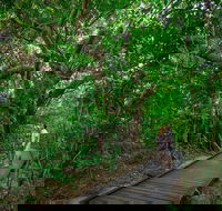 Green Island Eco Adventure from Cairns - Accommodation Cairns