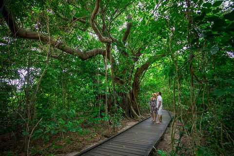 Green Island Eco Adventure From Cairns - Accommodation Cairns 0