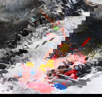 Barron Gorge National Park Half-Day White Water Rafting from Cairns or Port Douglas - Accommodation Cairns