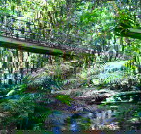 Double Pack-Ancient Rainforest and Waterfalls - Accommodation Cairns