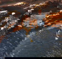 One Day Litchfield Park Adventures - Accommodation Cairns