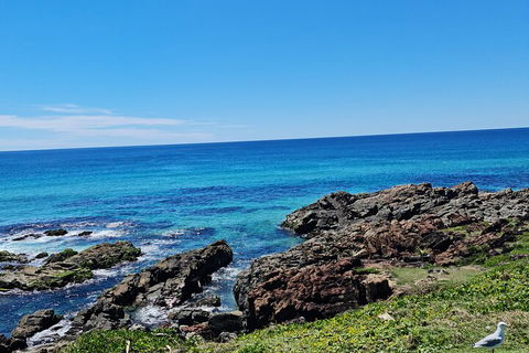 Private Custom Byron Bay Day Out - Accommodation Cairns 4