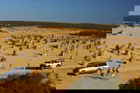 1-Day Pinnacles and Yanchep Tour from Perth including Fish and Chips Lunch