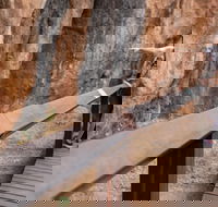 Chillagoe Caves and Outback Day Trip from Cairns - Accommodation Cairns