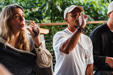 Full-Day Tour To Byron Bay Best Food And Drink Spots - Accommodation Cairns 1