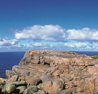 4 Day Tour Albany Margaret River Valley of the Giants TreeTop Walk from Perth - Accommodation Cairns