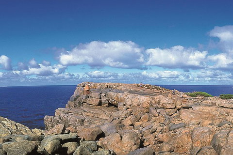 4 Day Tour: Albany, Margaret River, Valley Of The Giants TreeTop Walk From Perth - Accommodation Cairns 0