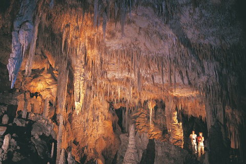 4 Day Tour: Albany, Margaret River, Valley Of The Giants TreeTop Walk From Perth - Accommodation Cairns 1