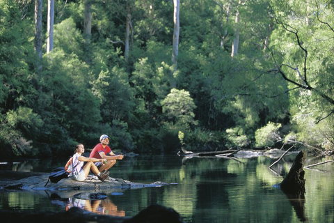 4 Day Tour: Albany, Margaret River, Valley Of The Giants TreeTop Walk From Perth - Accommodation Cairns 3