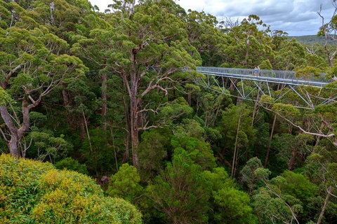 4 Day Tour: Albany, Margaret River, Valley Of The Giants TreeTop Walk From Perth - Accommodation Cairns 4
