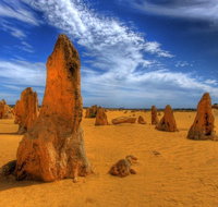 Pinnacles Desert  New Norcia Day Tour from Perth - Accommodation Cairns