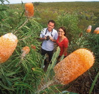 Best of Perth Wildflower Season Day Trip - Accommodation Cairns