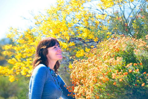 Best Of Perth Wildflower Season Day Trip - Accommodation Cairns 2