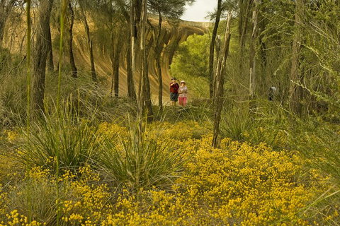2-Day Wave Rock, York, Wildflowers & Aboriginal Experience - Accommodation Cairns 2