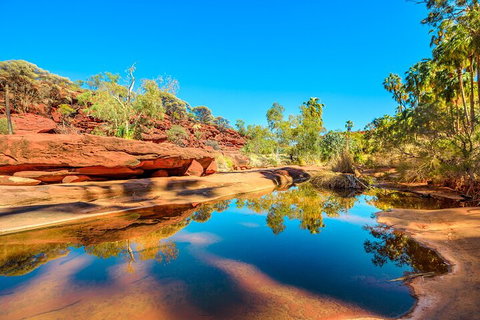 7-Day Guided Tour Of Alice Springs With Accommodation Included - Accommodation Cairns 1