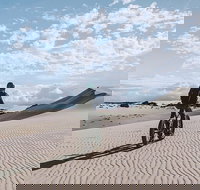 2-Hour Electric Fat Bike Tour in Kangaroo Island - Accommodation Cairns