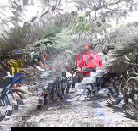 2 Hour Bike Tour in Kangaroo Island - Accommodation Cairns