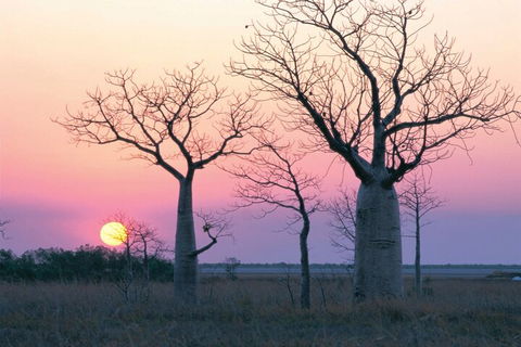 8-Day Outback Experience From Queensland - Accommodation Cairns 5