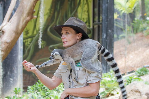 Currumbin Wildlife Sanctuary General Entry Ticket - Accommodation Cairns 1