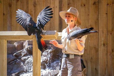 Currumbin Wildlife Sanctuary General Entry Ticket - Accommodation Cairns 4