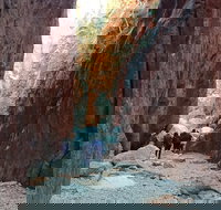 West MacDonnell Private Tour with Transfer - Accommodation Cairns