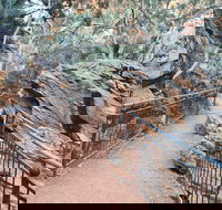 West MacDonnell Ranges Half - Day Tour - Accommodation Cairns