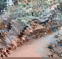 West MacDonnell Ranges Half-Day Private Charter Guided Tour - Accommodation Cairns