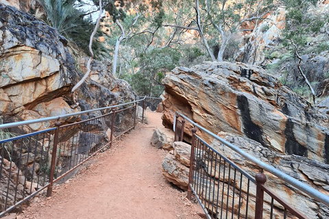 West MacDonnell Ranges Half-Day Private Charter Guided Tour - Accommodation Cairns 0