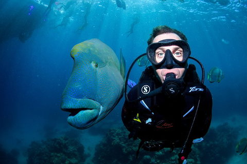 Full Day Reef Cruise Including 10 Minute Heli Scenic Flight: Get High Package - Accommodation Cairns 1