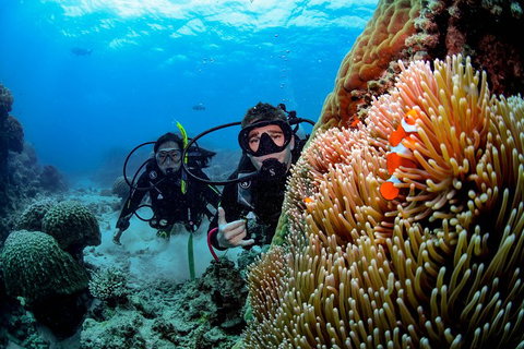 Full Day Reef Cruise Including 10 Minute Heli Scenic Flight: Get High Package - Accommodation Cairns 5