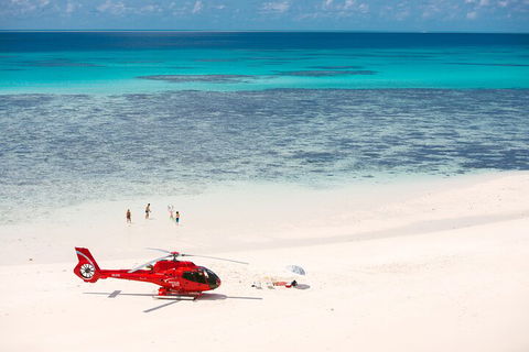 Private Helicopter Tour: Reef Island Snorkeling And Gourmet Picnic Lunch - Accommodation Cairns 2