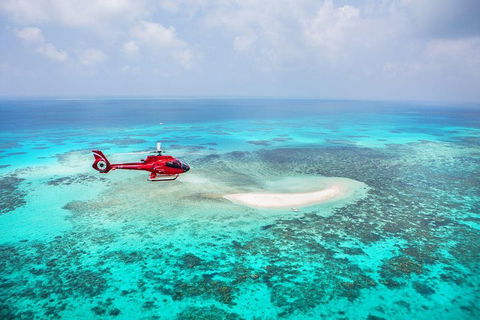 Private Helicopter Tour: Reef Island Snorkeling And Gourmet Picnic Lunch - Accommodation Cairns 5